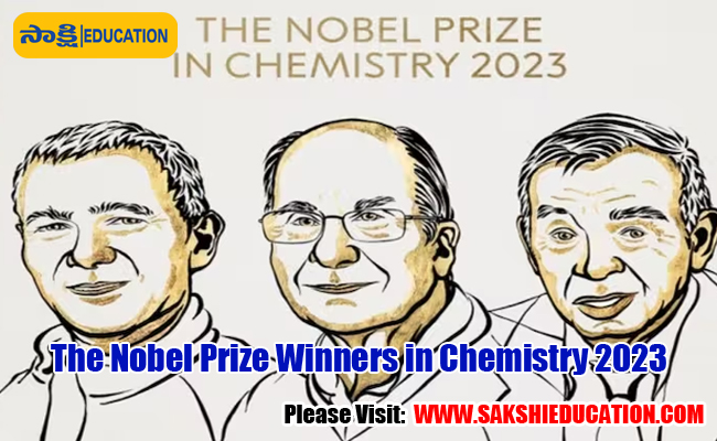 The Nobel Prize Winners In Chemistry 2023