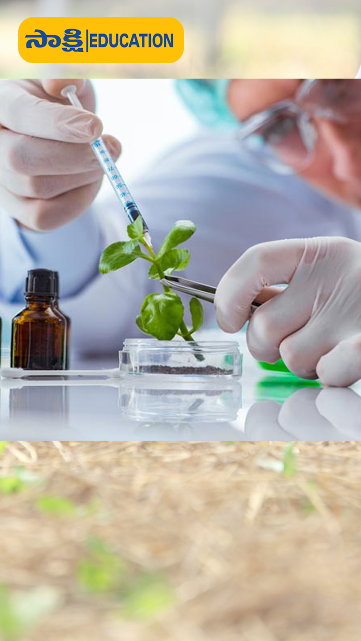 1. Natural sciences manager (Average annual salary: $129,100)