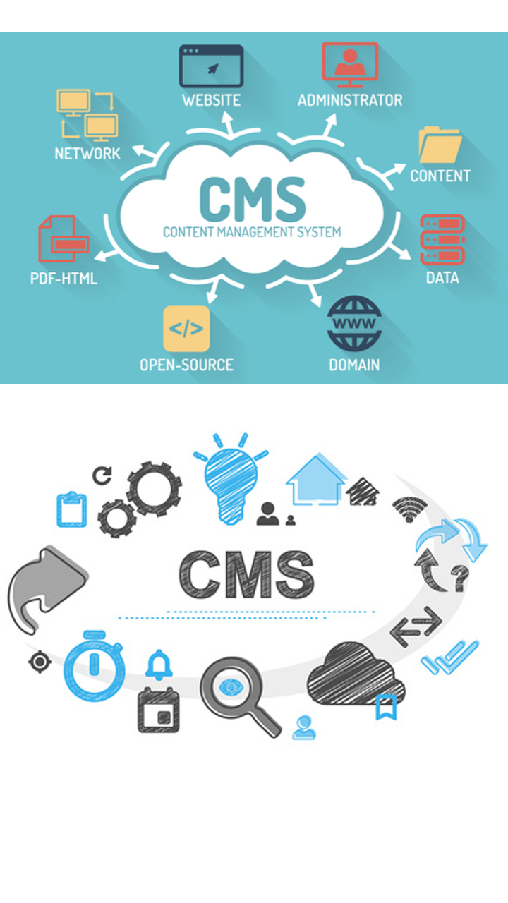 Content Management Systems (CMS)