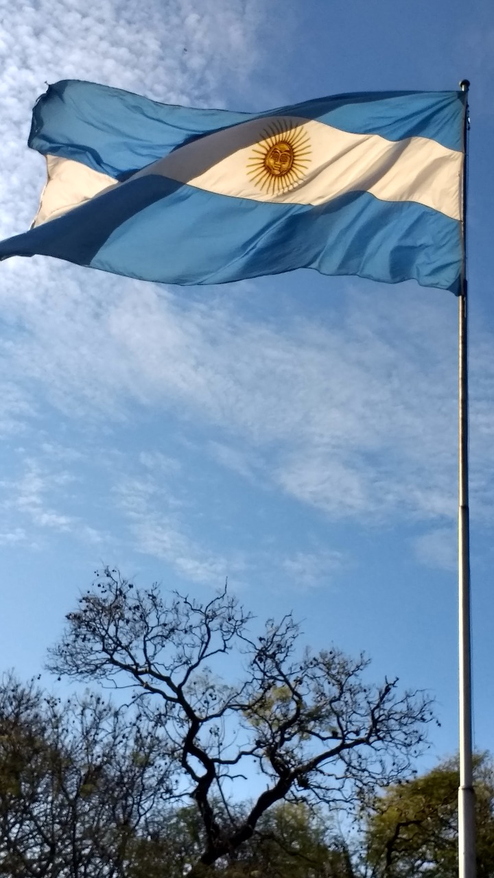 8. Argentina — 2,780,400 km²