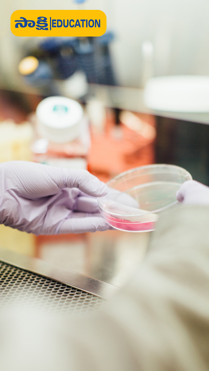 2. Forensic Scientists