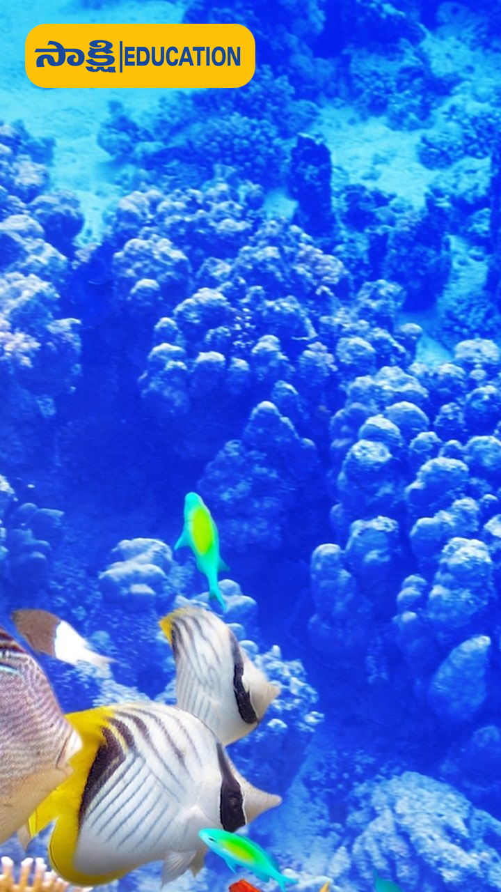 5. Marine Biology