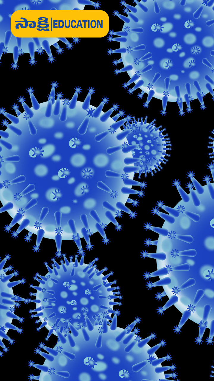 It is one of 13 viruses discover, each of which possesses its own genome.