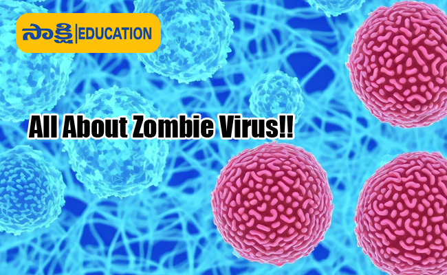 essay on zombie virus