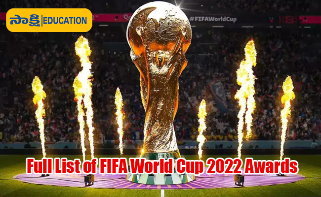 Full List Of FIFA World Cup 2022 Awards