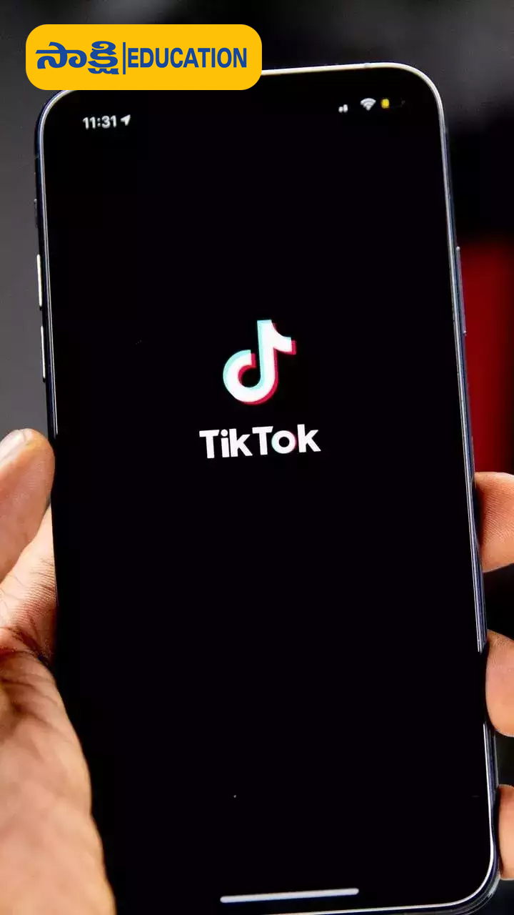 2. TikTok