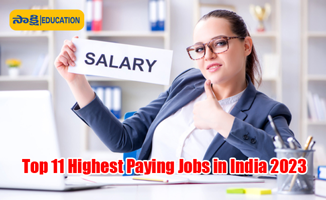 Top 11 Highest Paying Jobs In India 2023