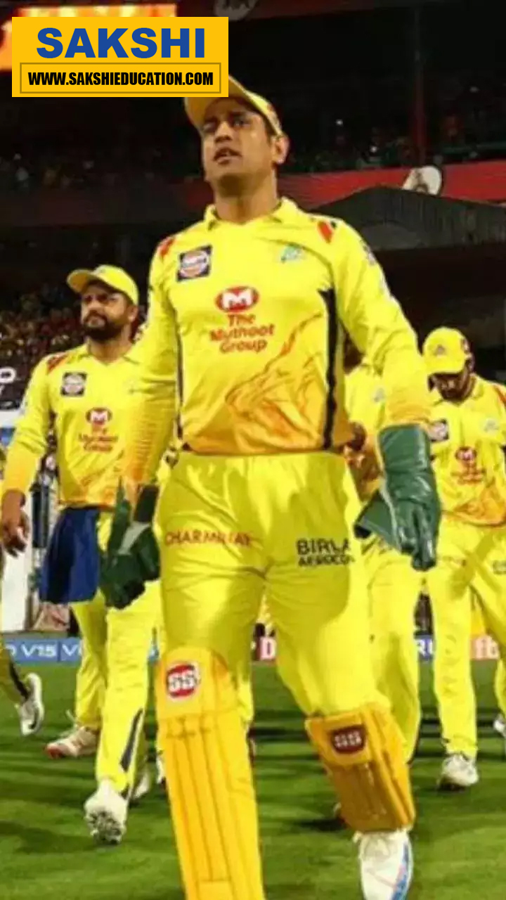 5. CSK - 246/5 vs RR (2010)
